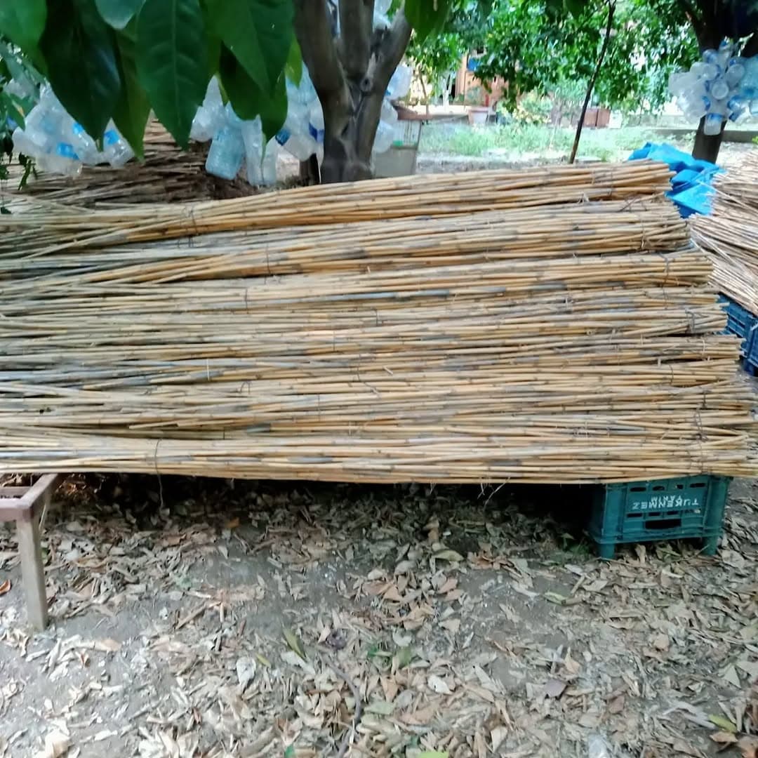 Cane bundles arranged outdoors