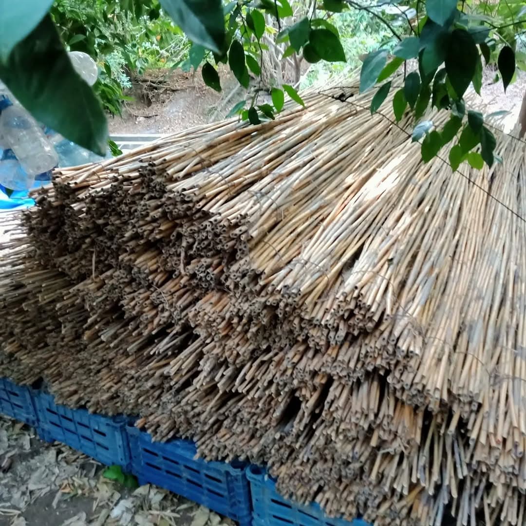 Dense stack of cane with aligned ends