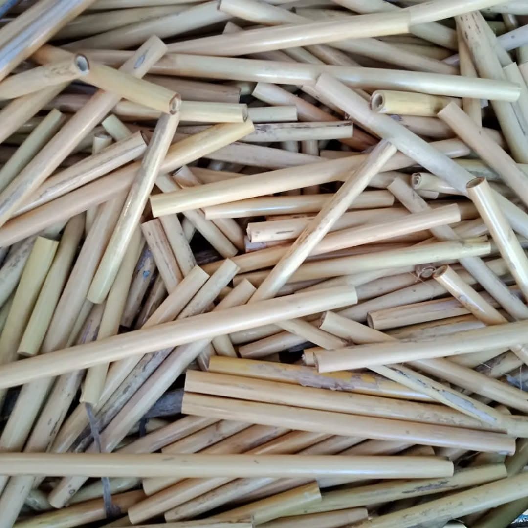 Natural cane tubes before selection