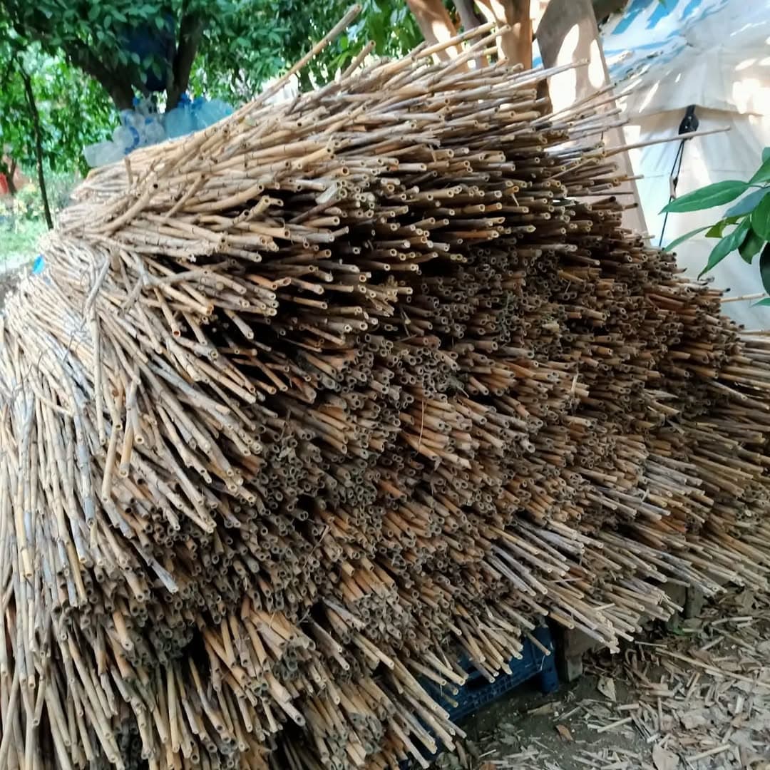 Cross-section and fibre detail of cane bundles