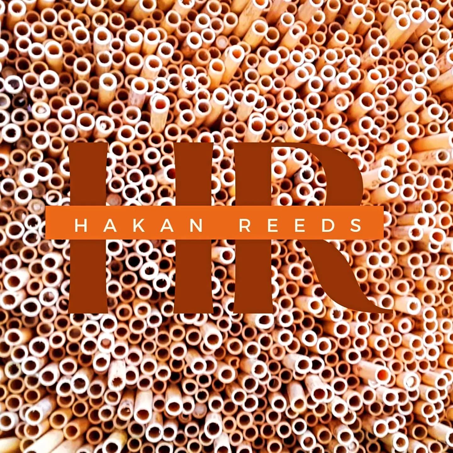 HAKAN REEDS monogram over cane tubes